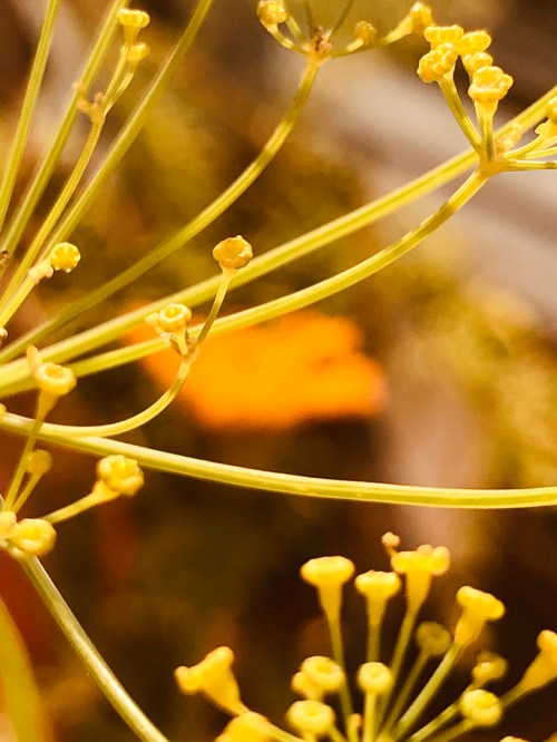 42046466-EAB9-4B73-942D-E04E9C09E3C1_1_201_a